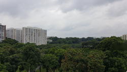 Blk 709 Bedok Reservoir Road (Bedok), HDB 3 Rooms #128331542